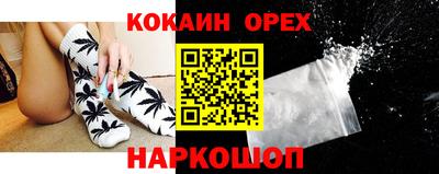 крисы Будённовск