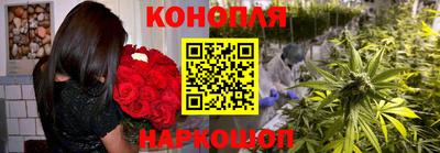 крисы Будённовск