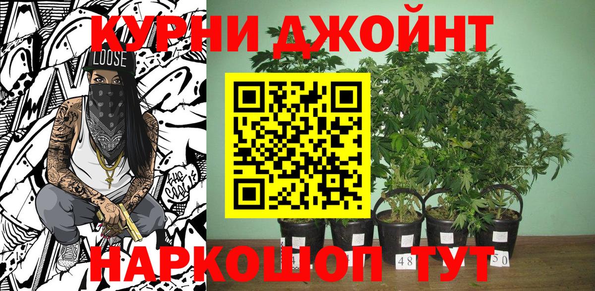 Каннабис SATIVA & INDICA  Марихуана ГИДРОПОН  Каннабис план  Вход с VPN  Краснодар 